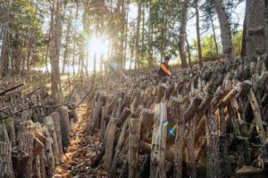 鈴木しいたけ園