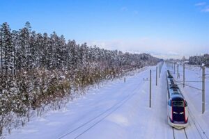 鉄道林ワークショップ・JR東日本東京建設PMO×ぷらーす